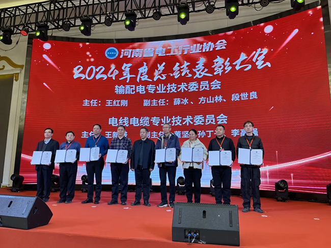 多宝(中国)荣获河南省电工行业双优称号， 持续助力电力行业发展